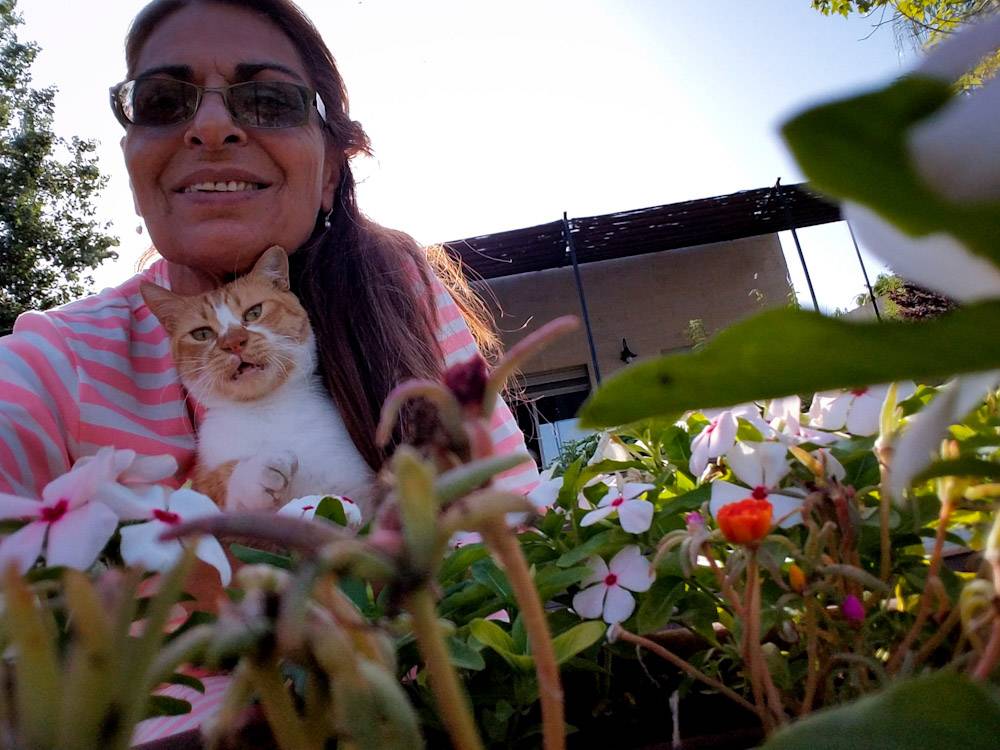 Boris The Cat-2 ©Yakira Shimoni Fulks—Kira Art and Poetry