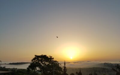 Above Our Home