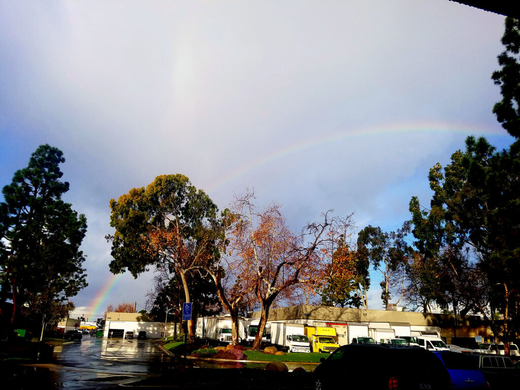Rainbow 20210129 080629 Web 1 - art by Yakira Shimoni Fulks