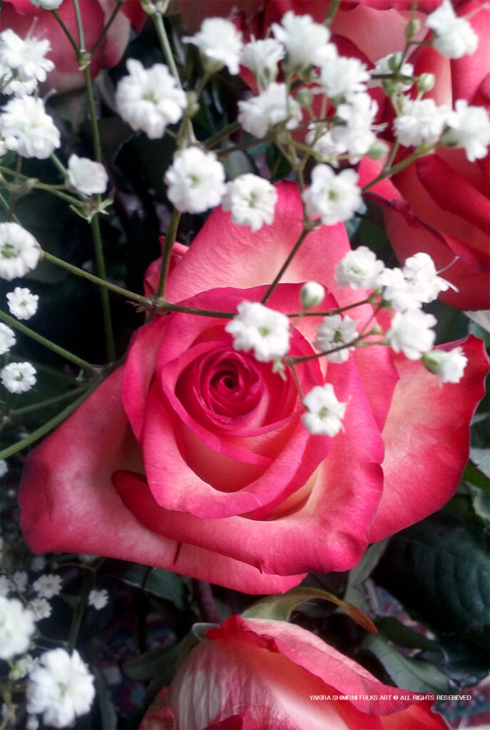 20160506 130235 Rose - art by Yakira Shimoni Fulks