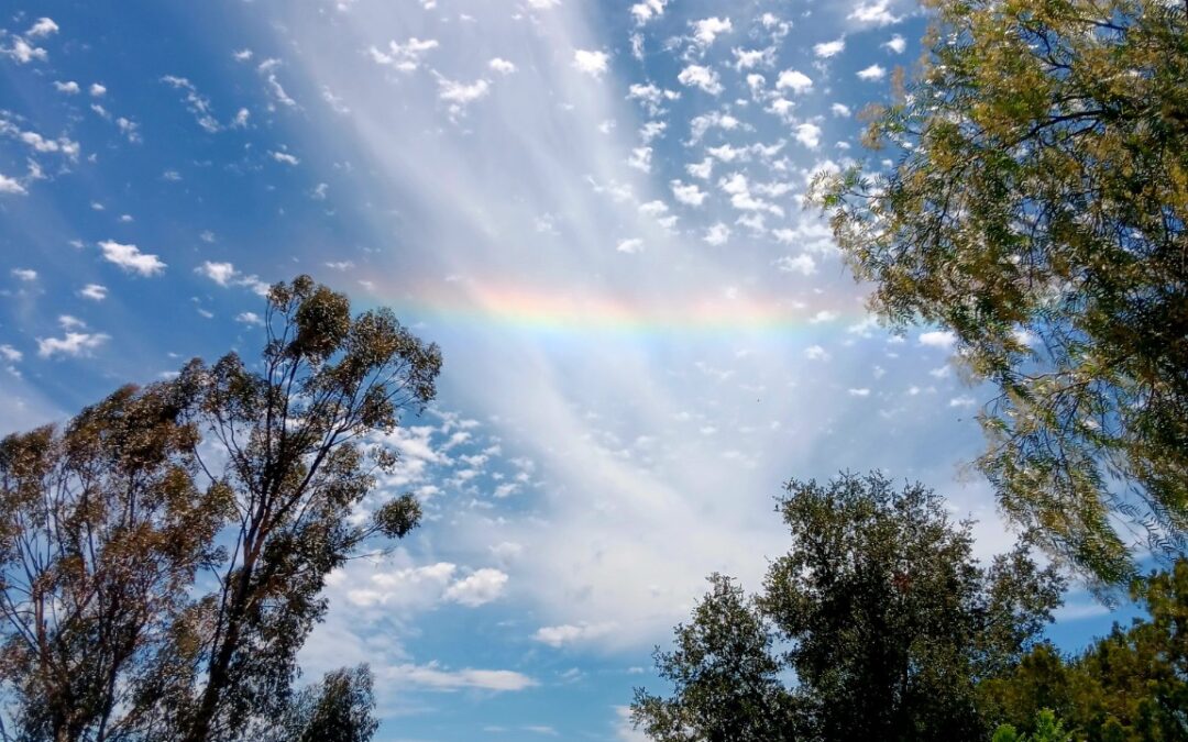 Heavenly Shabbos