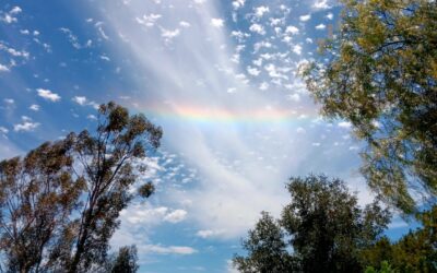 Heavenly Shabbos