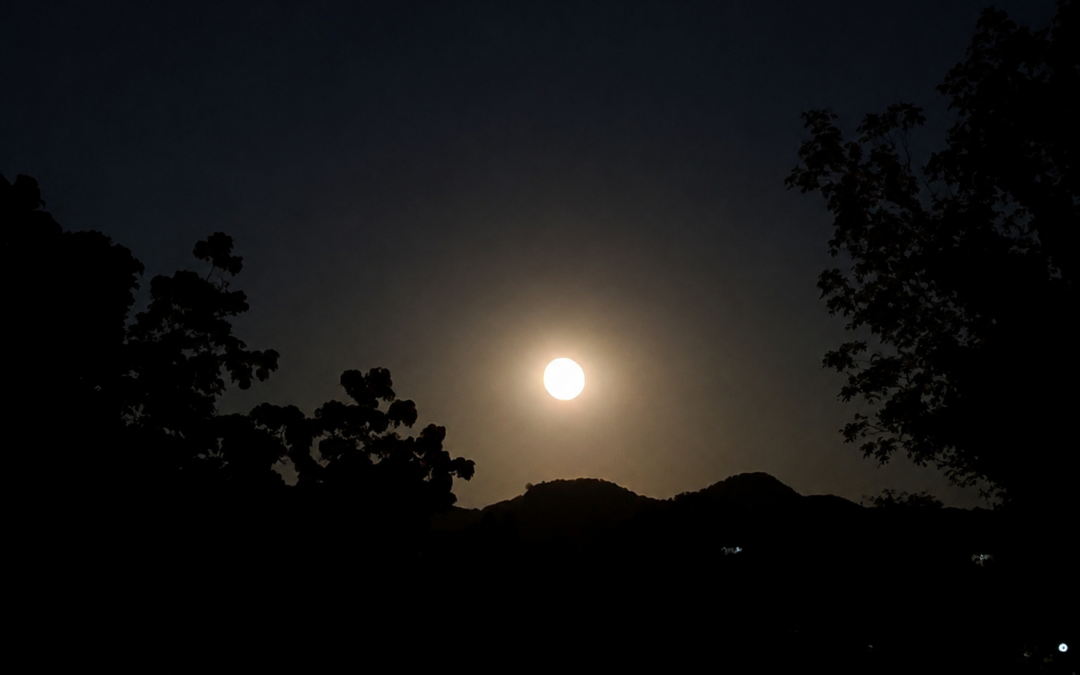 Moon Over Citrus Hills